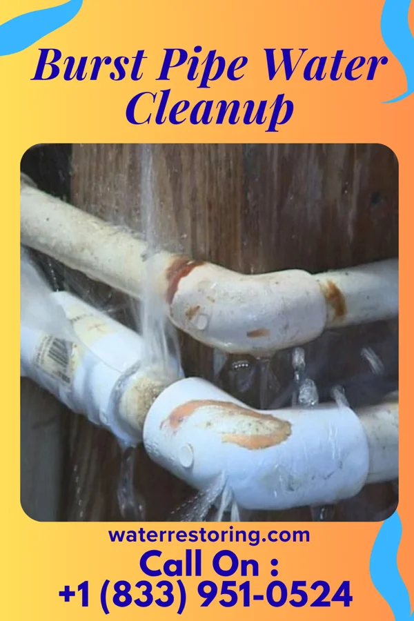 Burst Pipe Water Cleanup in Richwood, WV