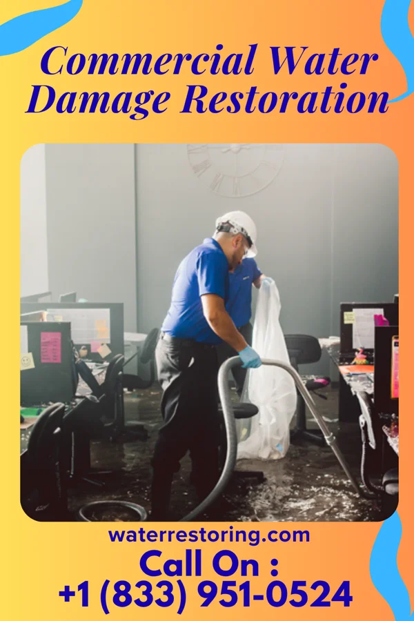 Commercial Water Damage Restoration in Richwood, WV