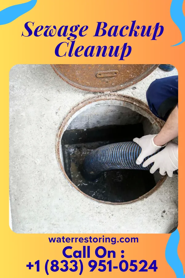 Sewage Backup Cleanup in Richwood, WV