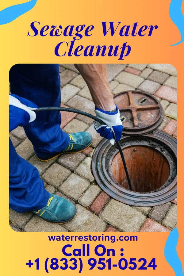 Sewage Water Cleanup in Richwood, WV